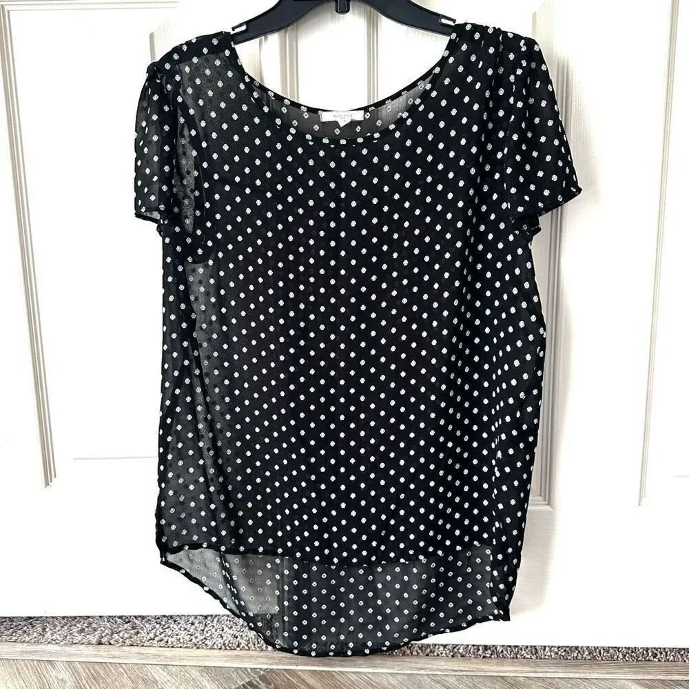 Pleione black short sleeved top